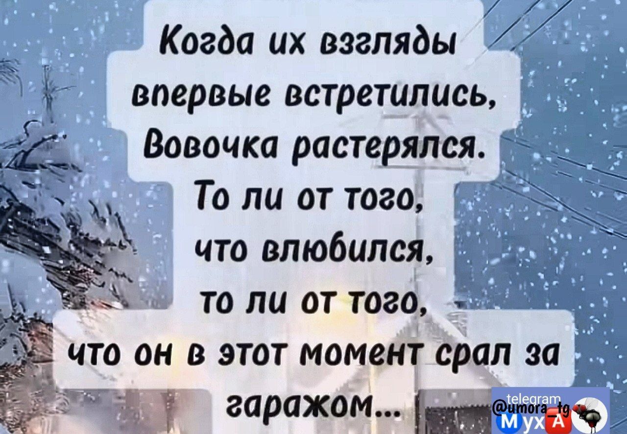 С об Когда их взгляды 7 1 впервые встретились 7 Вовочка растерялся То ли от того что влюбился то ли от того что он в этот момент срал за ЗЯр гаражом оалабтойчо А