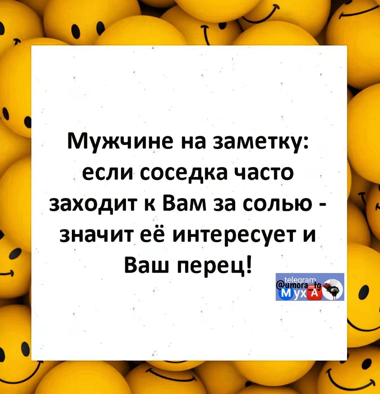 р оо о 0 Мужчине на заметку если соседка часто заходит к Вам за солью значит её интересует и Д Ваш перец Ё_Э _ ь к