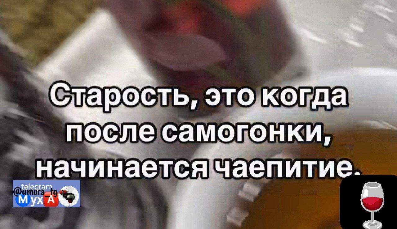 ч А Сларость этокогда ь ЪТ ПФСЛЭСЗМОГОЁКИ начинаетсячаепитие