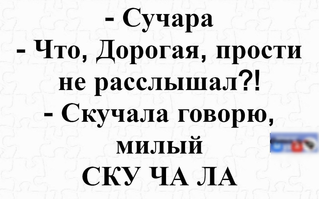 Сучара Что Дорогая прости не расслышал Скучала говорю милый 5 СКУ ЧА ЛА