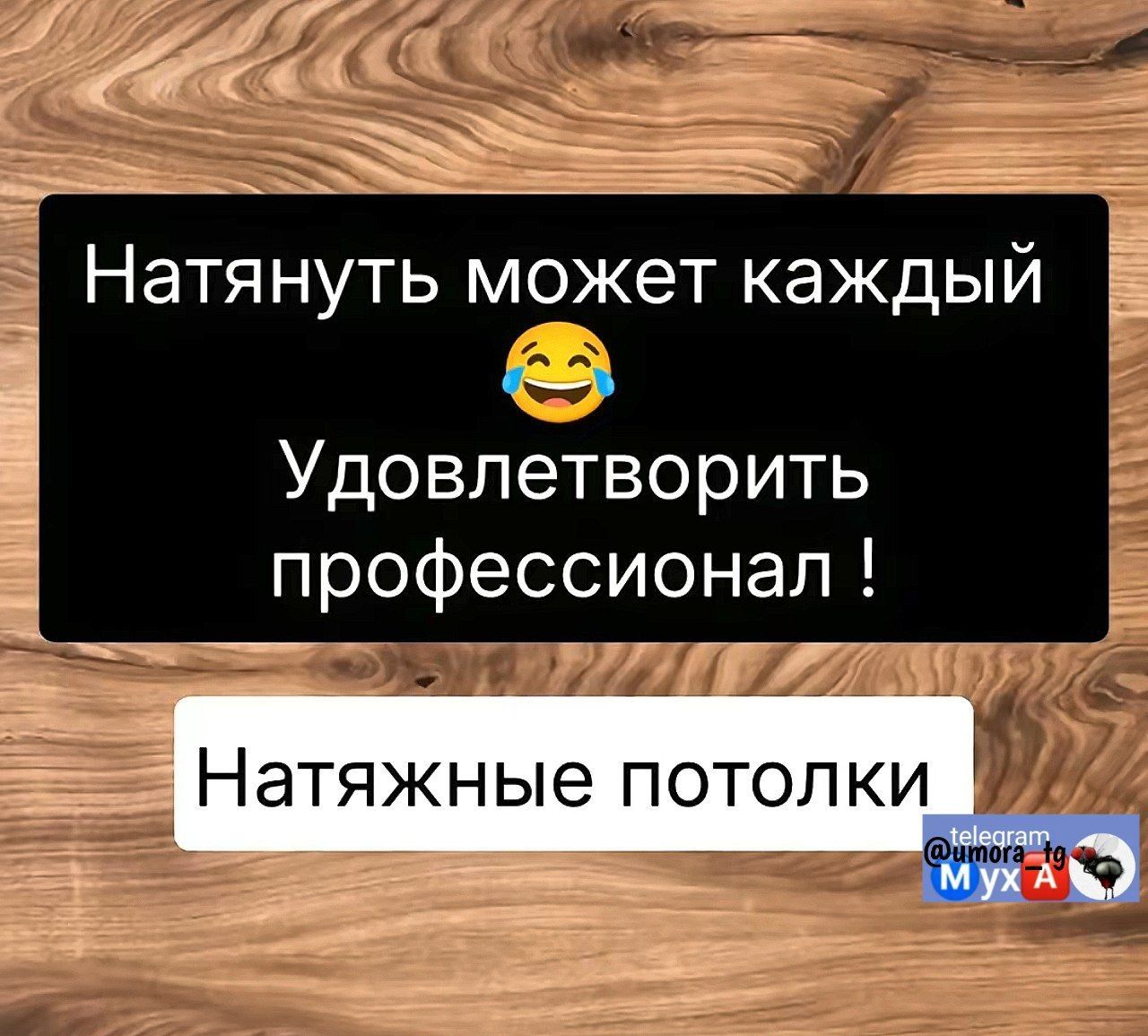 Натянуть может каждый Удовлетворить профессионал