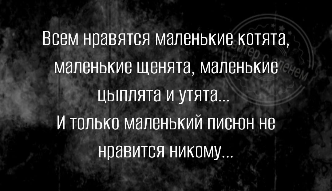 Всем нравятся маленькие котята маленькие щенята маленькие цыплята и утята И только маленький писнн не Нравится никому