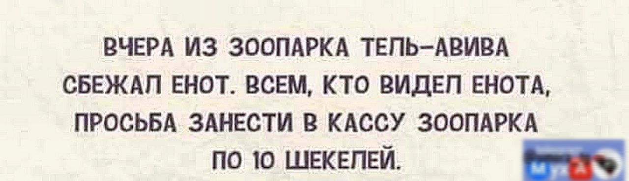 ВЧЕРА ИЗ ЗООПАРКА ТЕЛЬ АВИВА СБЕЖАЛ ЕНОТ ВСЕМ КТО ВИДЕЛ ЕНОТА ПРОСЬБА ЗАНЕСТИ В КАССУ ЗООПАРКА ПО 10 ШЕКЕЛЕЙ Гаа