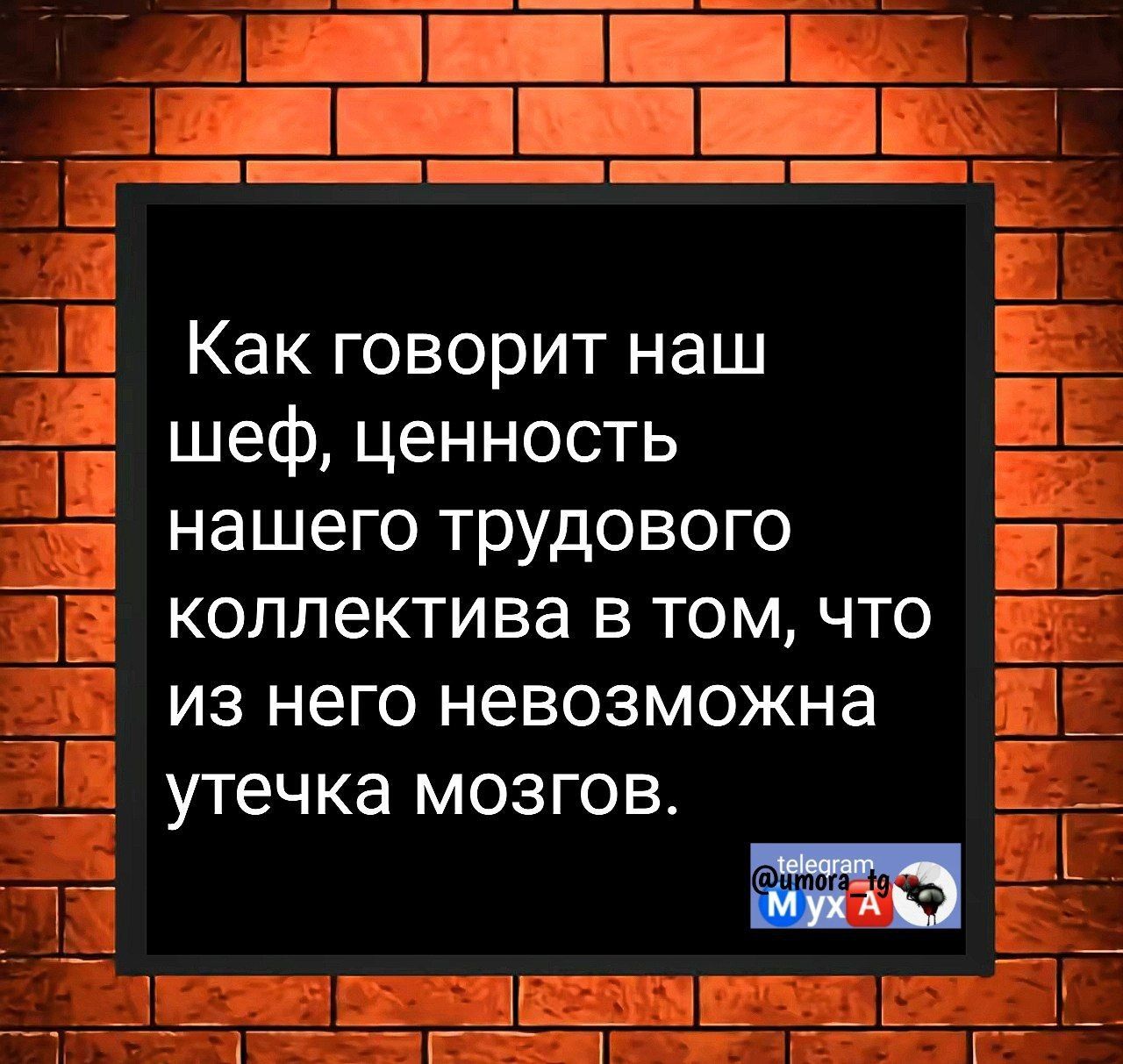 В Ё в 1Е а ашНЁЁ 7 _4 Как говорит наш Е шеф ценность Е нашего трудового коллектива в том что из него невозможна утечка мозгов