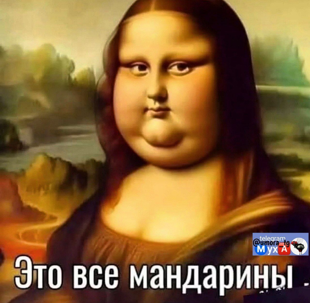 Это все мандарины