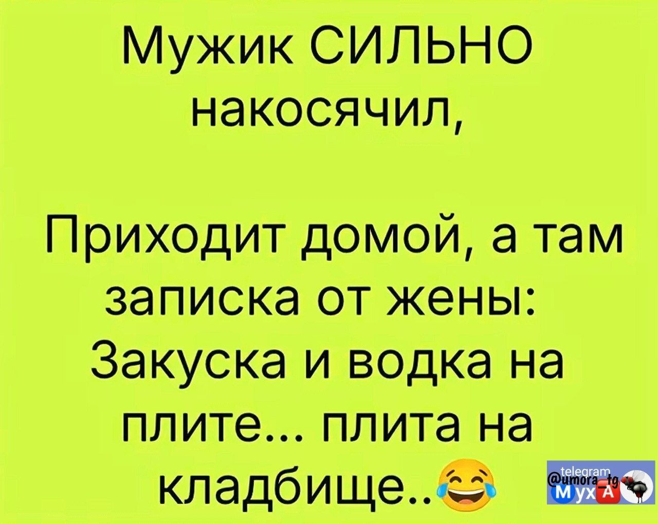 Мужик СИЛЬНО накосячил Приходит домой а там записка от жены Закуска и водка на плите плита на кладбище