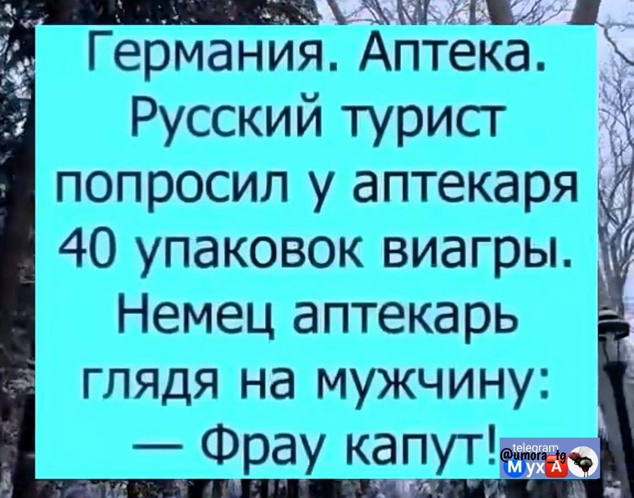 А За лаЫ 6Дя 5 Германия Аптека Русский турист попросил у аптекаря 40 упаковок виагры Немец аптекарь глядя на мужчину Фрау капут Р пЯ БвОо