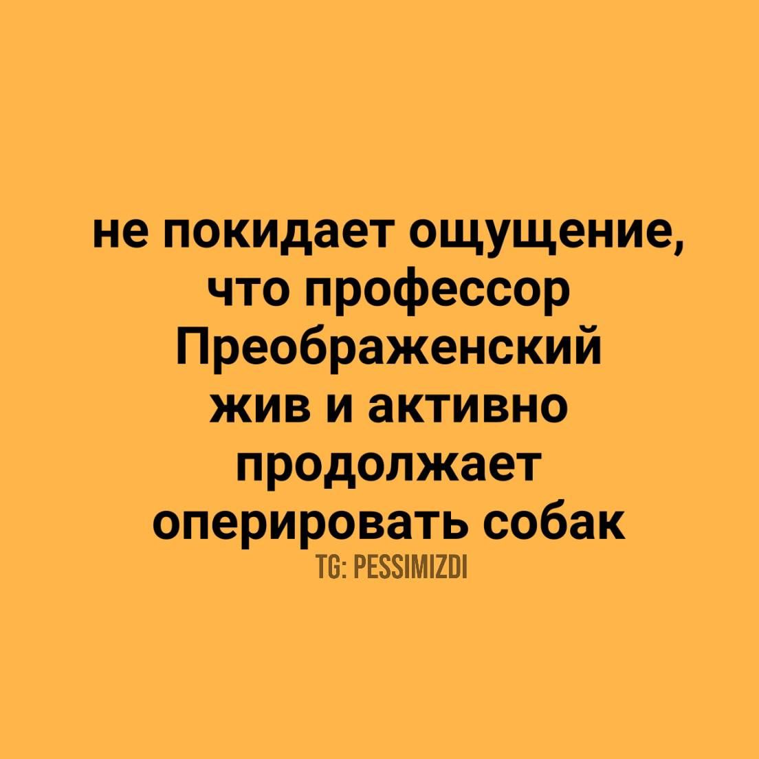 не покидает ощущение что профессор Преображенский жив и активно продолжает оперировать собак 6 РЕБЗИМГ2ОГ