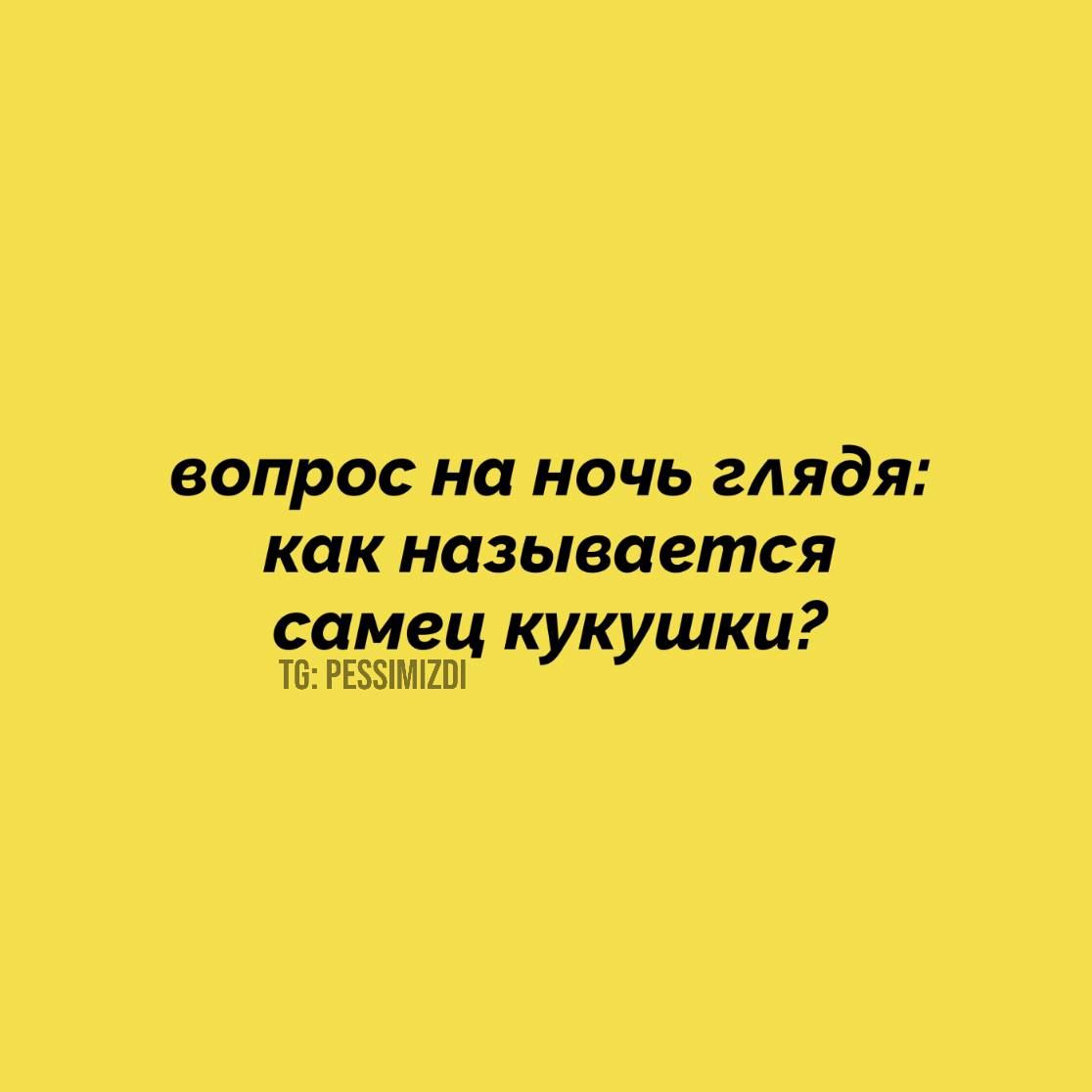 вопрос на ночь глядя как называется самец кукушки ТБРЕБЗМШ у У