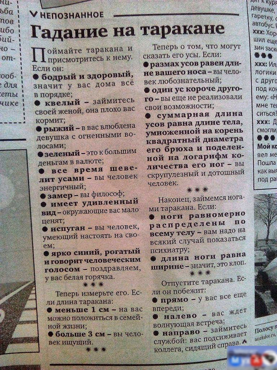 левушке г2етиу ле У НЕПОЗНАННОЕ Тадание на таракане оямалте гарокаия и Теперь о том что могут присмотритесь к нему сказать его усы Если Если он Фразмахусов равендли ккк бодрый и здоровый невашего носа вычело й ЗОИРсу вас дома всё веклюбознательный вче в порядке один ус короче друго _ под ко Ф раный займитесь го выеще нерсализовали ену своей женой о