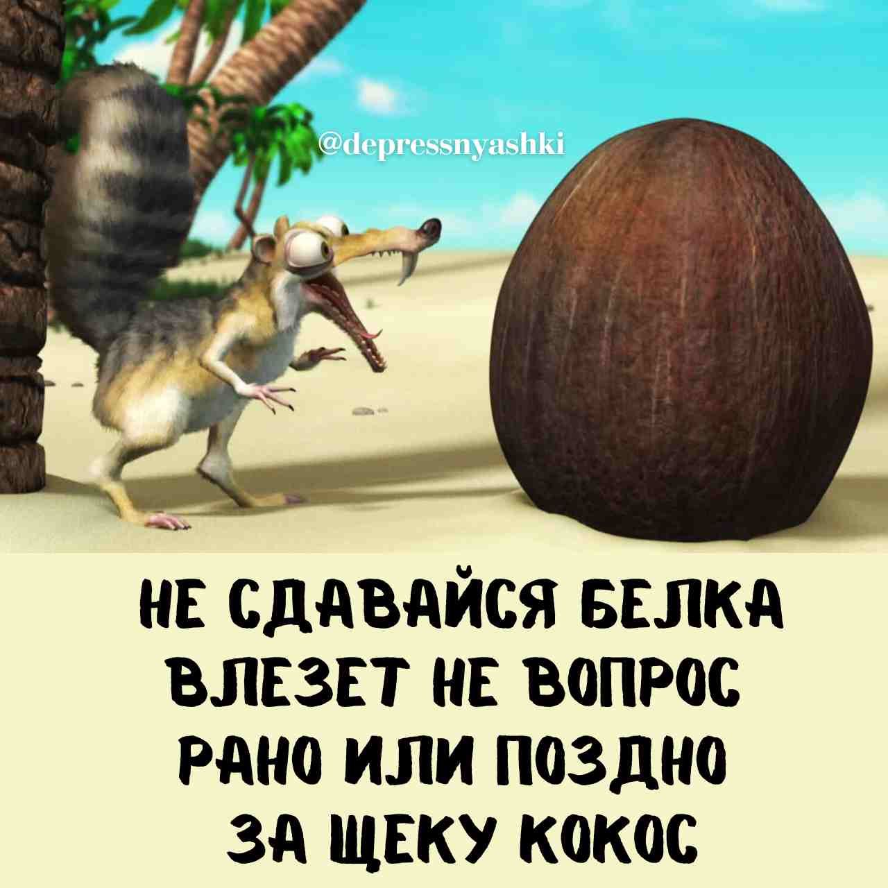 НЕ СДАВАЙСЯ БЕЛКА ВЛЕЗЕТ НЕ ВоПРОС РАНО ИЛИ ПоЗДдНо ЗА ЩЕКУ КОКОС