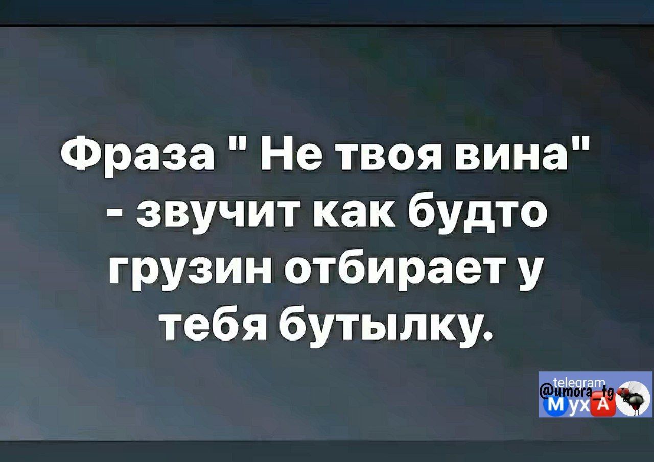 Фраза Не твоя вина звучит как будто грузин отбирает у тебя бутылку