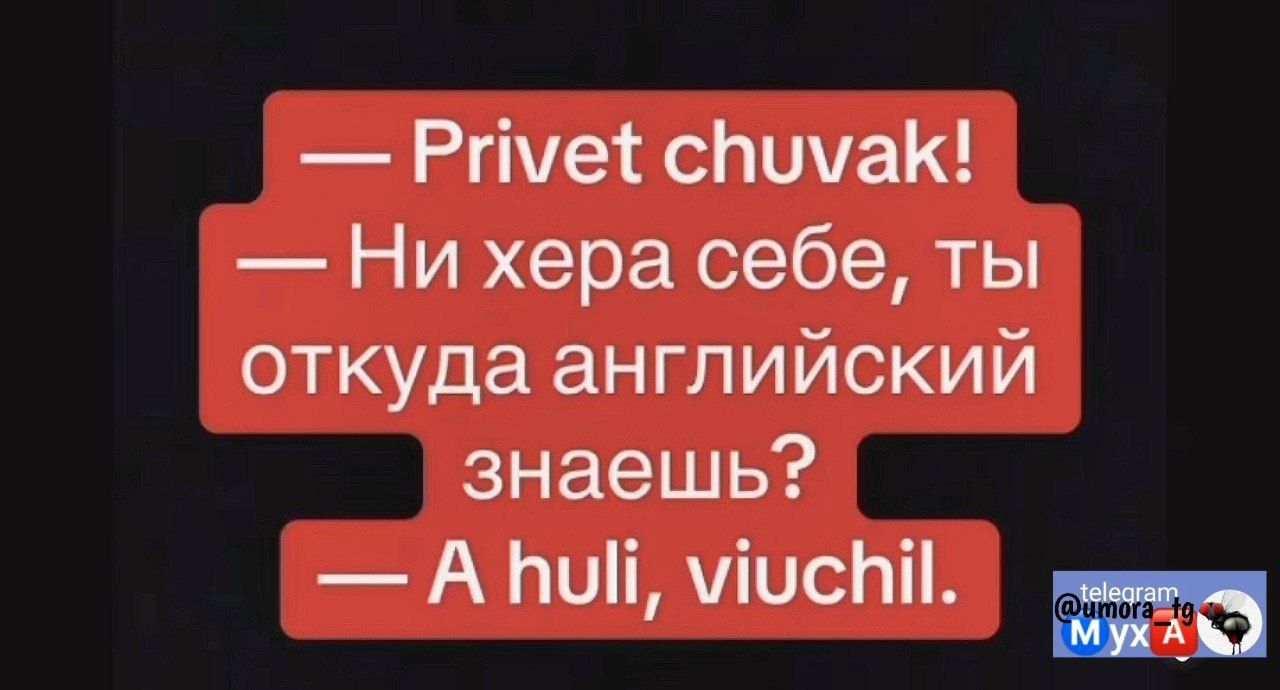 Рпиме споимаК Ниххера себе ты откуда английский знаешь А Би мюсй о