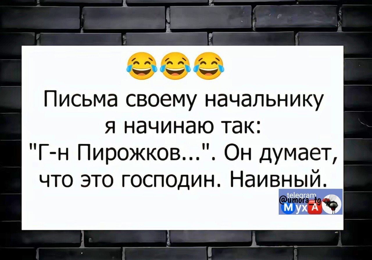 ра Письма своему начальнику я начинаю так Г н Пирожков Он думает что это господин Наивный