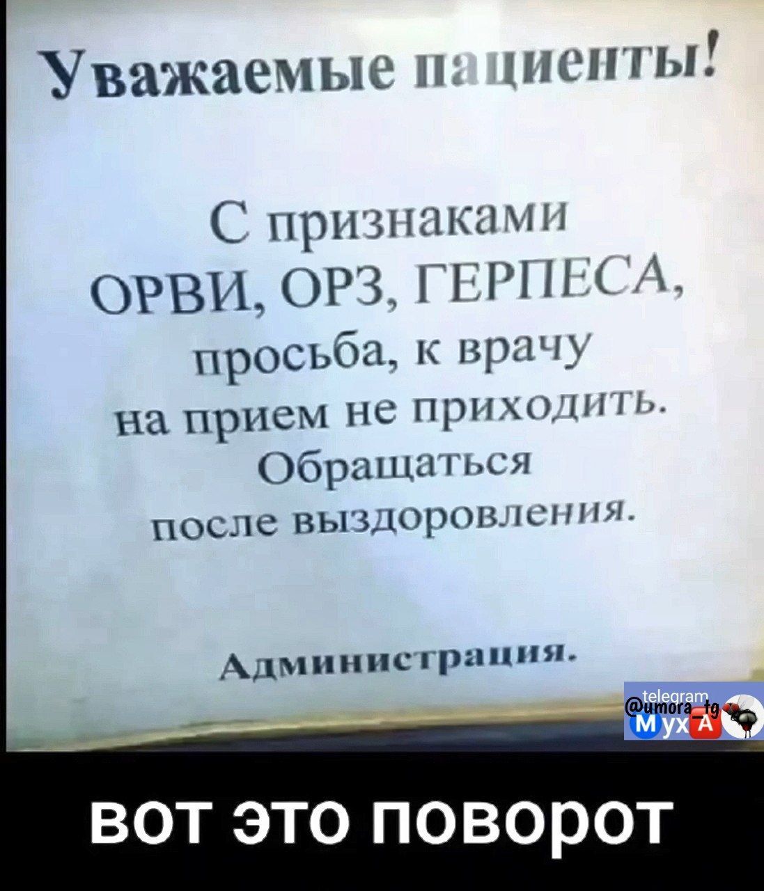 Уважаемые пациенты С признаками ОРВИ ОРЗ ГЕРПЕСА просьба к врачу на прием не приходить Обращаться после выздоровления Администрация вот это поворот