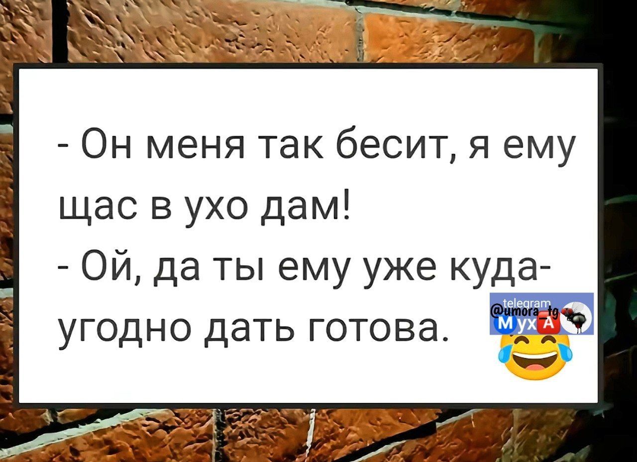 Он меня так бесит я ему щас в ухо дам ОЙ да ты ему уже куда угодно дать готова