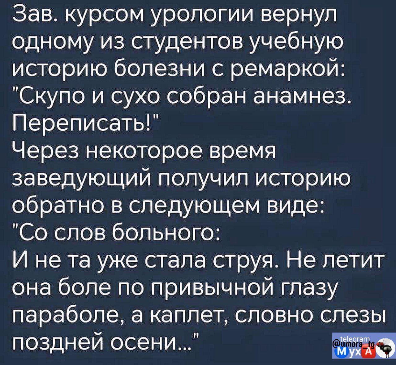 Зав курсом урологии вернул одному из студентов учебную историю болезни с ремаркой Скупо и сухо собран анамнез Переписать Через некоторое время заведующий получил историю обратно в следующем виде Со слов больного И не та уже стала струя Не летит она боле по привычной глазу параболе а каплет словно слезы поздней осени оч