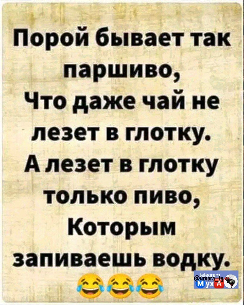 Пърой бывает так паршиво Что даже чай не лезет в глотку А лезет в глотку только пиво Которым запиваешь водку ООО _ Р8У