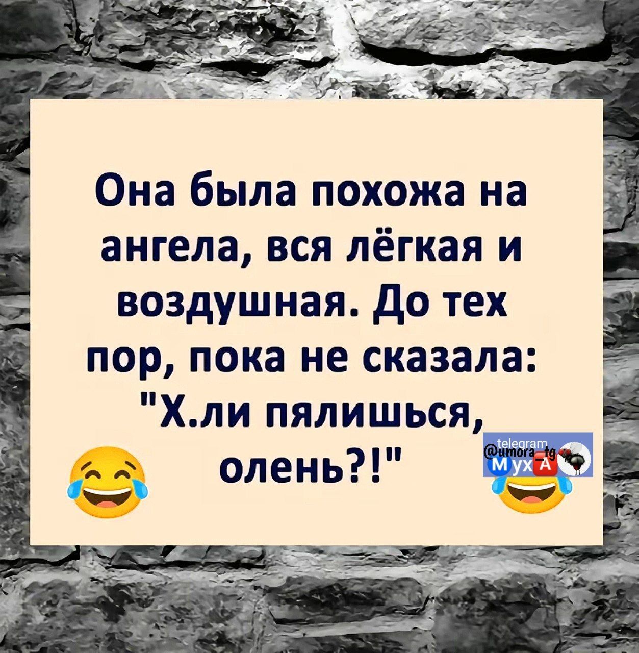 ов ааа то Она была похожа на ангела вся лёгкая и воздушная До тех пор пока не сказала Хли пялишься Ы з олень з ай