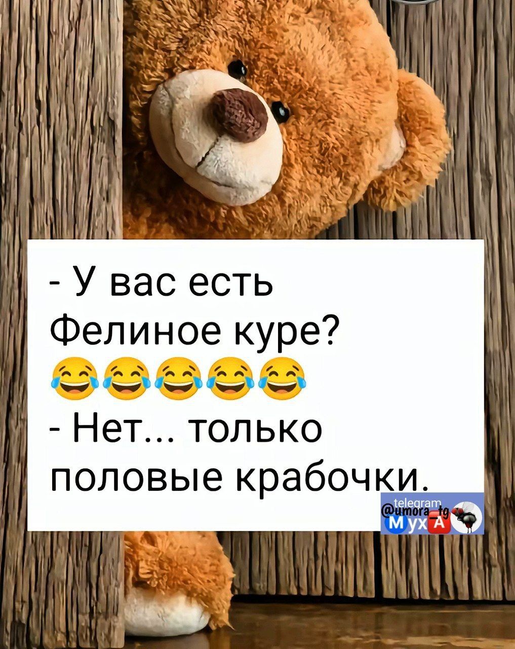 У вас есть Фелиное куре Нет только половые крабочки