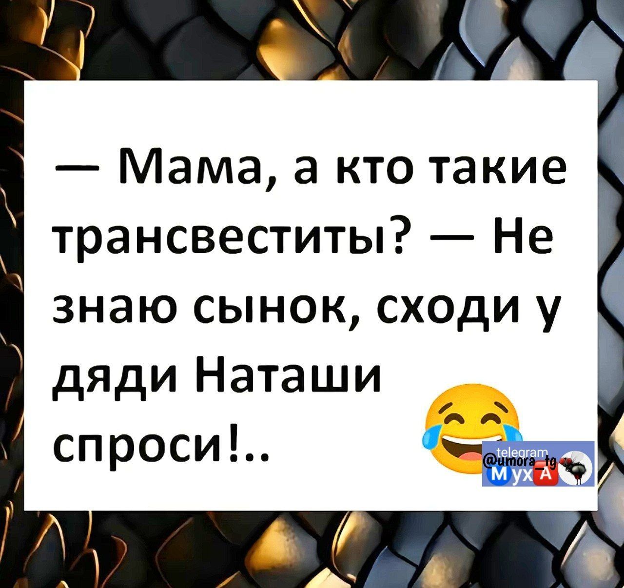 Мама а кто такие трансвеститы Не знаю сынок сходи у дяди Наташи спроси