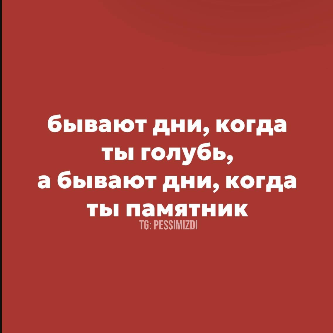 бывают дни когда ты голубь а бывают дни когда ты памятник 6 РЕБУИМСОИ