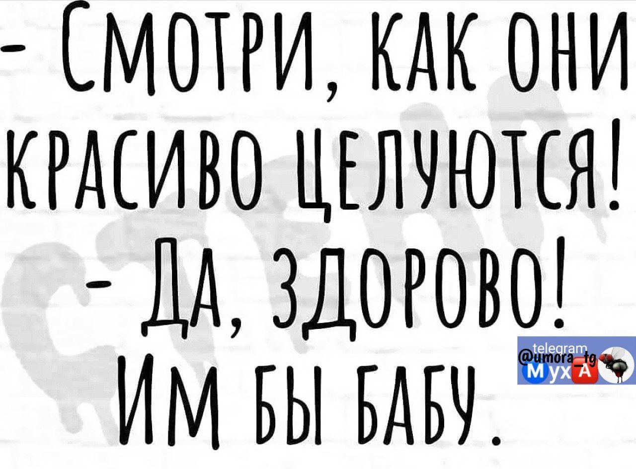 СМОТРИ КАК ОНИ КРАСИВО ЦЕЛУЮТСЯ М ЗДОРОВО ИМ ВЫ ВАВ