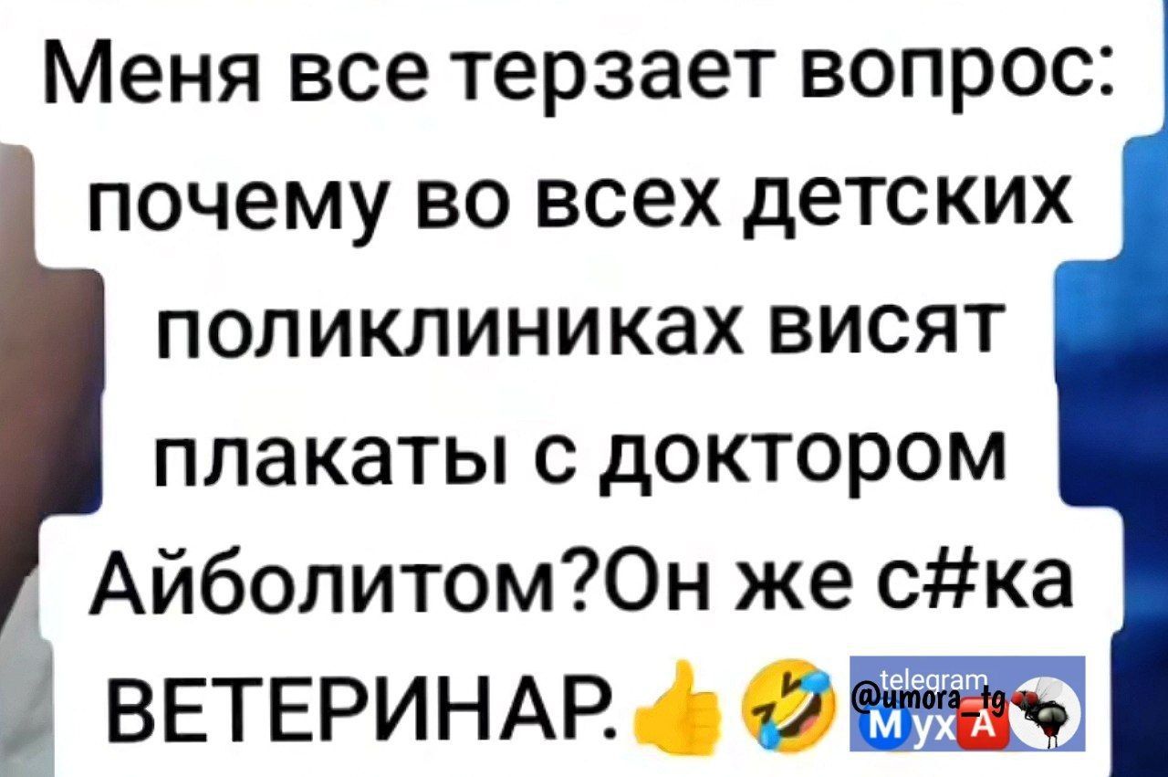 Меня все терзает вопрос почему во всех детских поликлиниках висят плакаты с доктором АйболитомОн же ска ВЕТЕРИНАР 85
