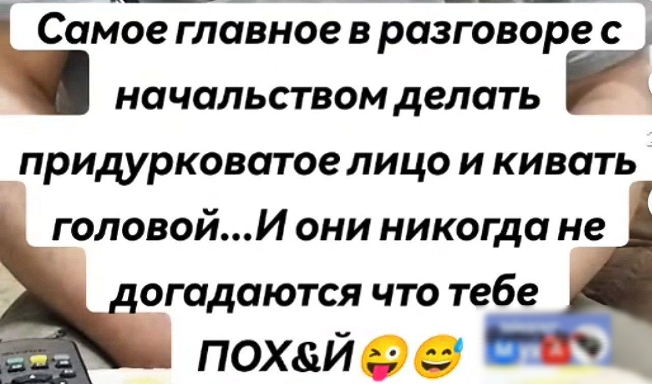 _Самое главное в разговоре с начальством делать Г придурковатое лицо и кивать головойИ они никогда не догадаются что тебе похЙй В