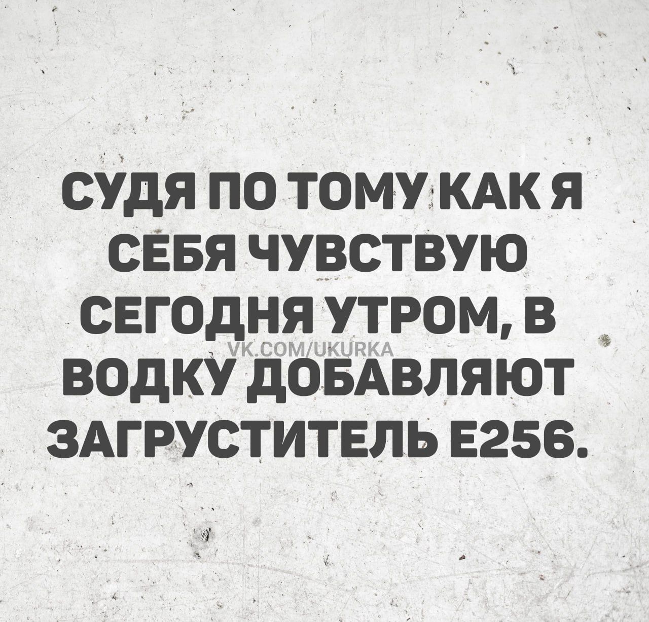 СУДЯ ПО ТОМУКАК Я СЕБЯ ЧУВСТВУЮ СЕГОДНЯ УТРОМ В ВОДКУ ДОБАВЛЯЮТ ЗАГРУСТИТЕЛЬ Е256 0