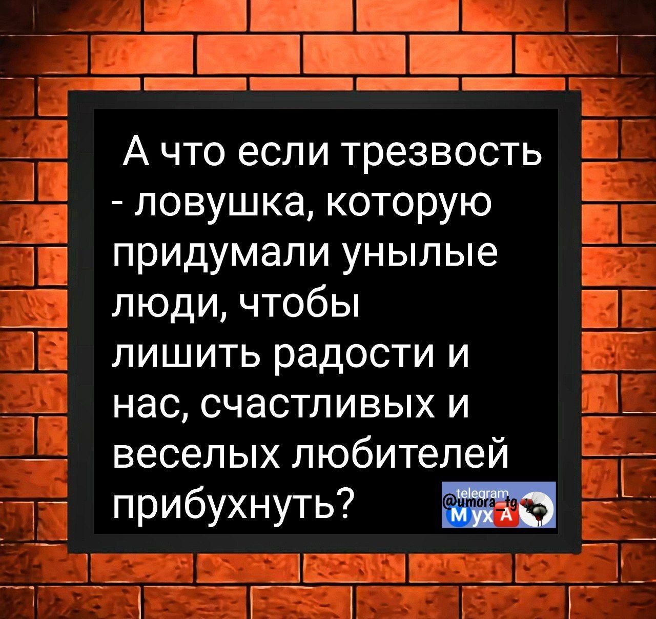 Ачто если трезвость ловушка которую і_ придумали унылые люди чтобы Е лишить радости и 538 нас счастливых и веселых любителей ЬЪ_ прибухнуть 38 КУР