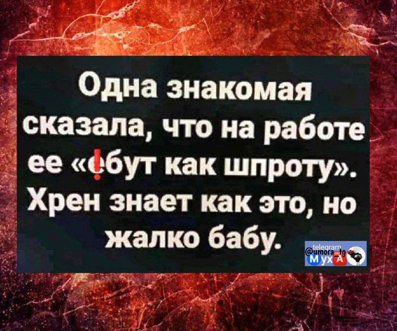 С айой _ _ Одна знакомая сказала что на работе ее бут как шпроту Хрен знает как это но жалко бабу о ооа о у К