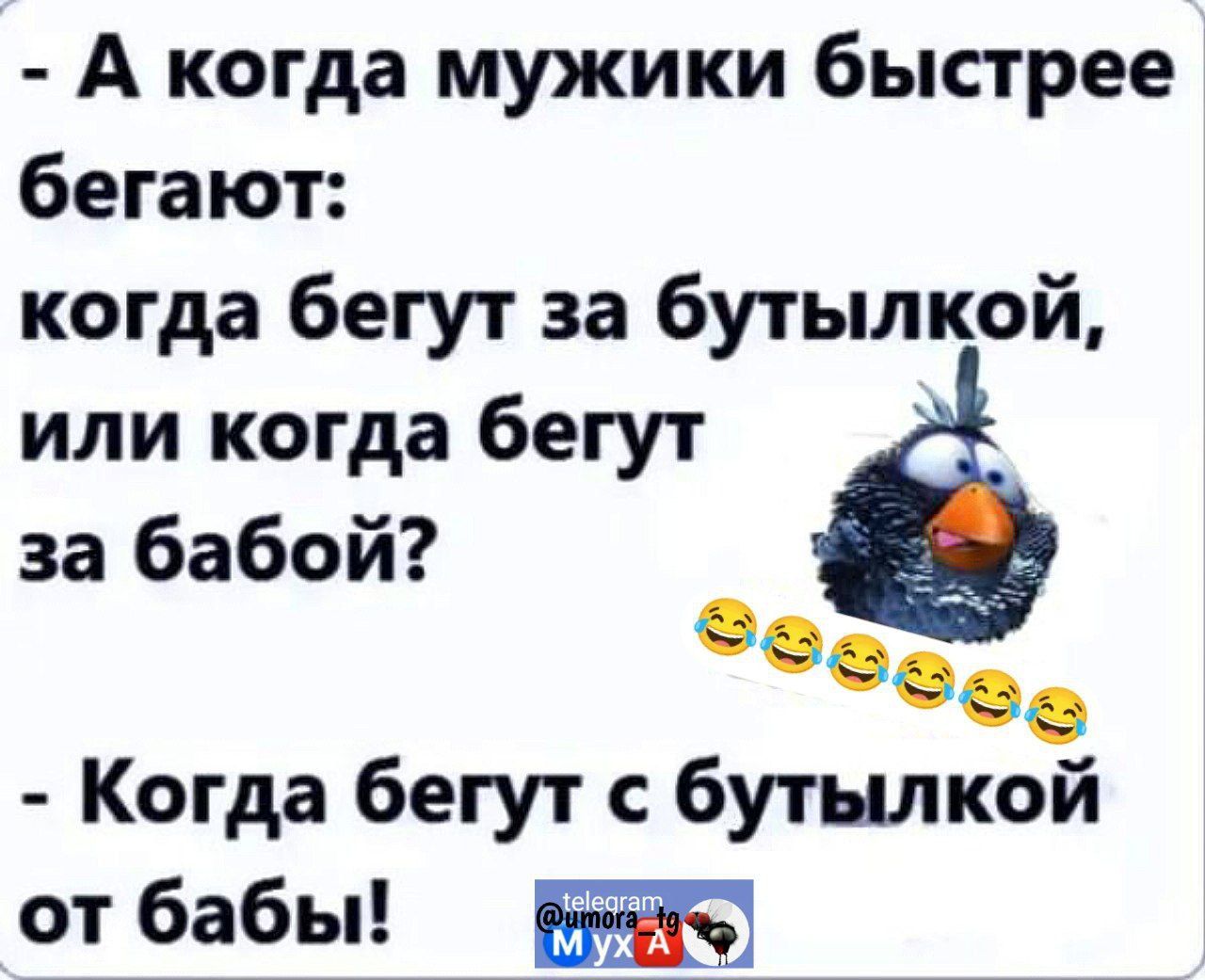 а когда мужики быстрее бегают: когда бегут за бутылкой, или когда бегут за бабой? Е о.. Е  когда бегут с бутылкой от бабы!  Й