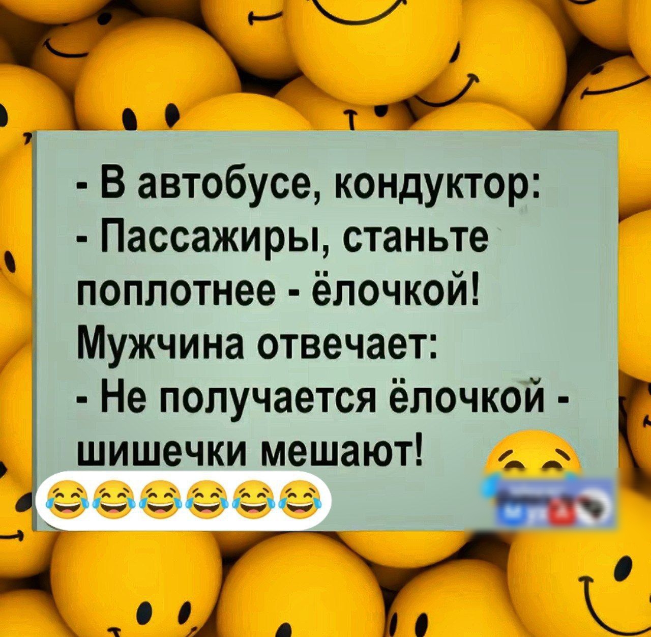 ае т  в автобусе, кондуктор:  пассажиры, станьте поплотнее  ёлочкой!  Мужчина отвечает:  не получается ёлочкой    шишечки мешают!