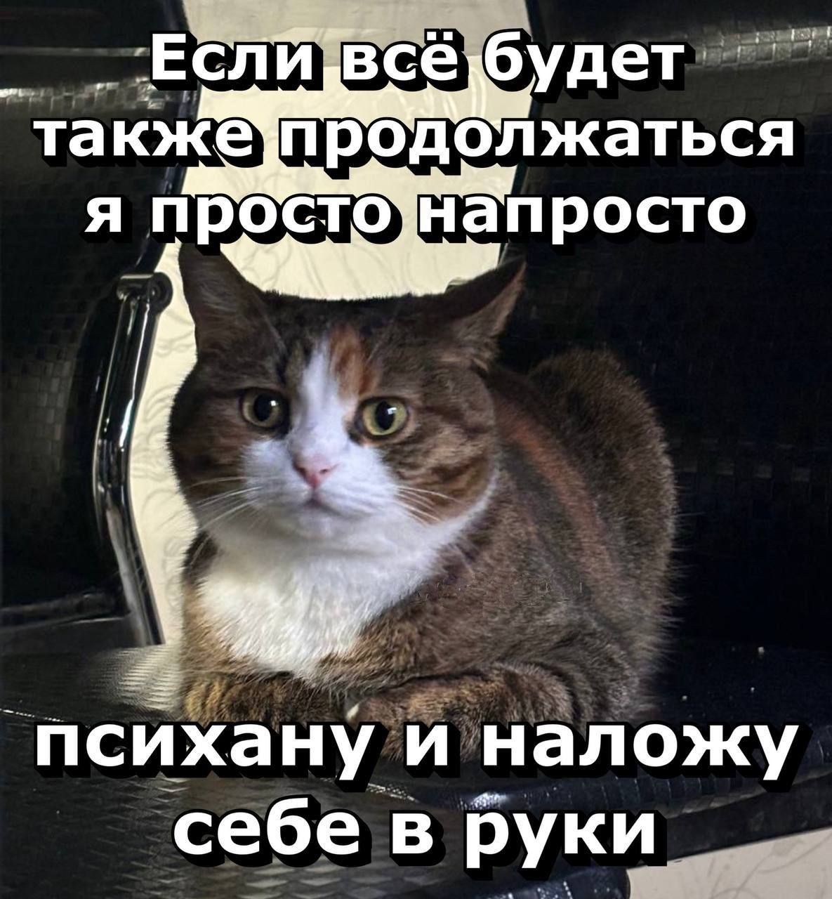 Если всё будет также продолжаться я просто напросто психану и наложу себе в руки