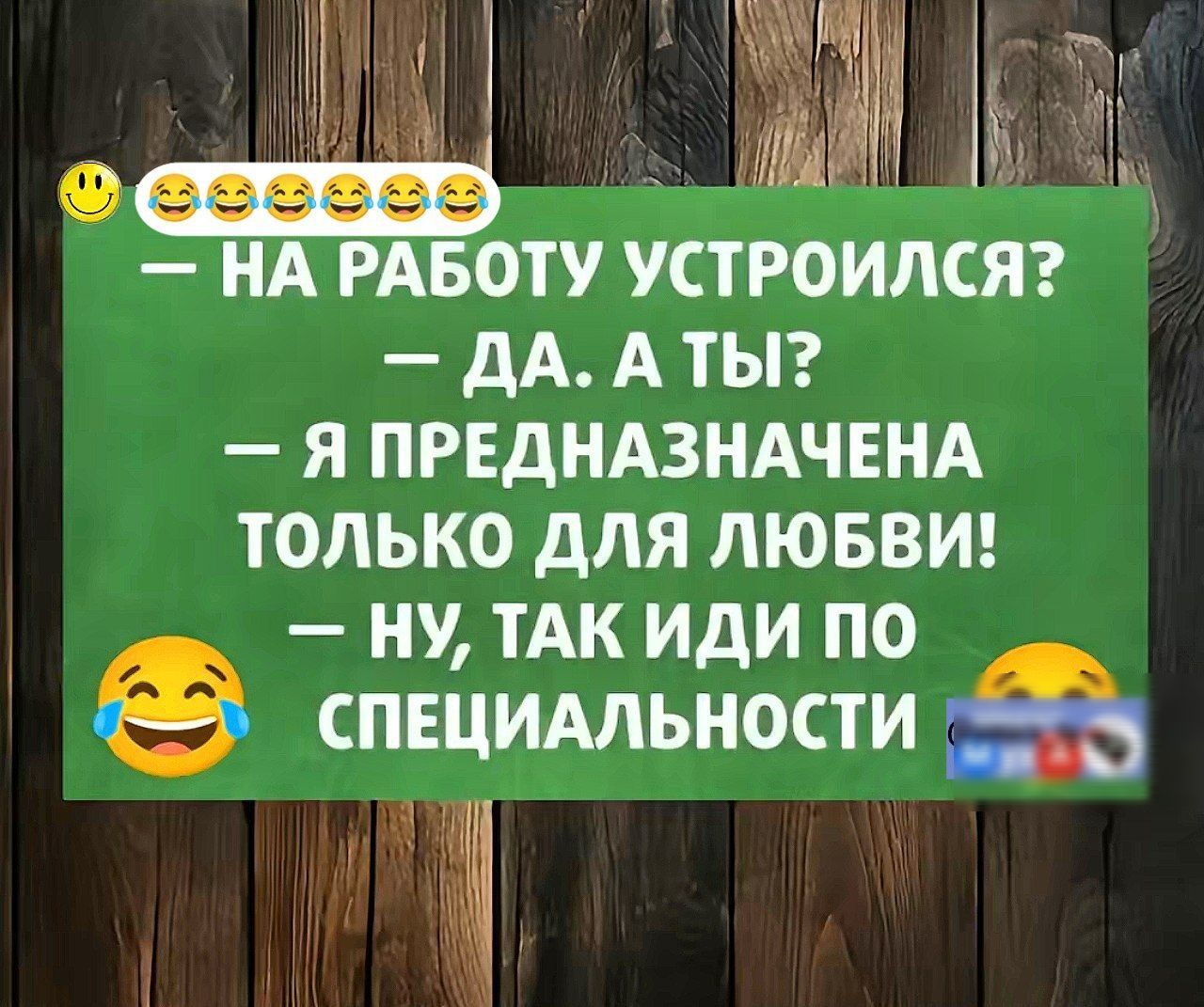 — НА РАБОТУ УСТРОИЛСЯ? — ДА. А ТЫ? — Я ПРЕДНАЗНАЧЕНА ТОЛЬКО ДЛЯ ЛЮБВИ! — НУ, ТАК ИДИ ПО СПЕЦИАЛЬНОСТИ!