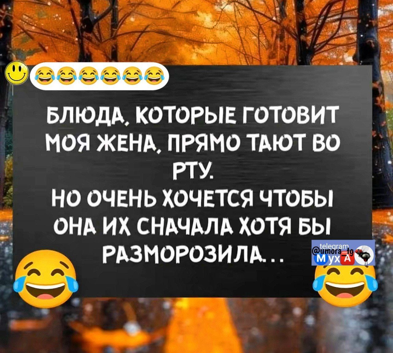 Блюда, которые готовит моя жена, прямо тают во рту. Но очень хочется, чтобы она их сначала хотя бы разморозила...