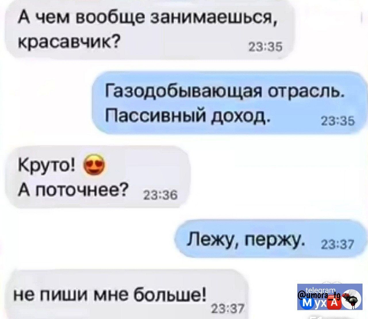 А чем вообще занимаешься, красавчик? Газодобывающая отрасль. Пассивный доход. Круто! А поточнее? Лежу, перджу. не пиши мне больше!