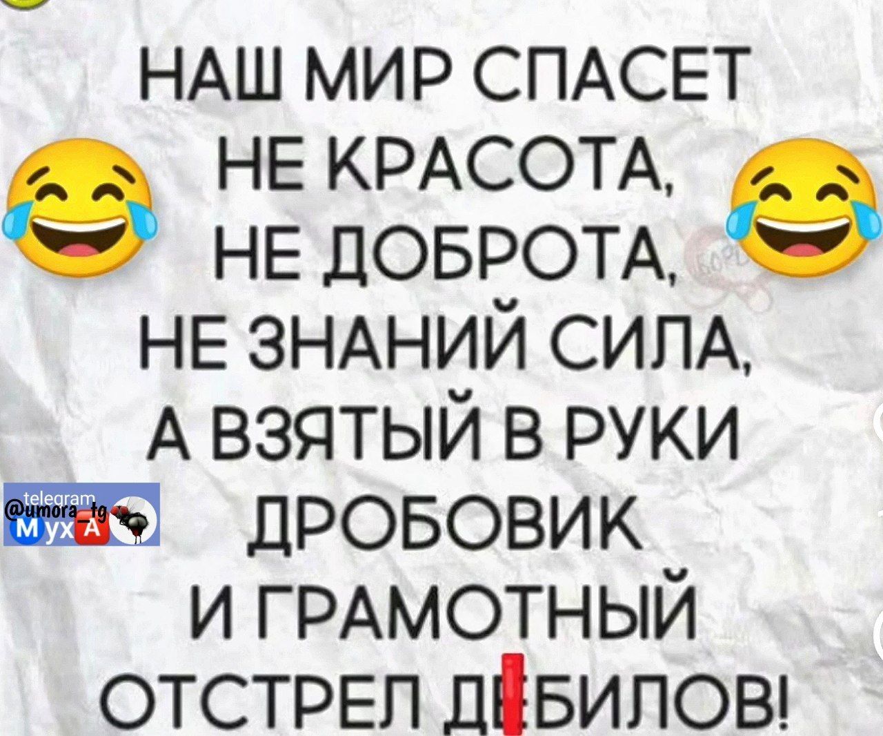 НАШ МИР СПАСЕТ НЕ КРАСОТА, НЕ ДОБРОТА, НЕ ЗНАНИЙ СИЛА, А ВЗЯТЫЙ В РУКИ ДРОБОВИК И ГРАМОТНЫЙ ОТСТРЕЛ ДЕБИЛОВ!