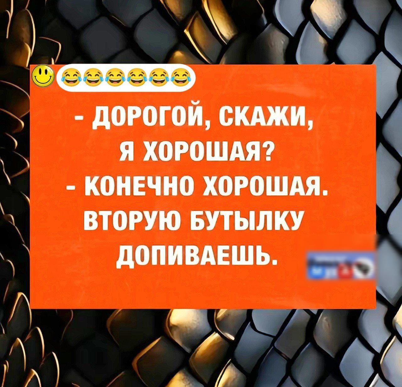 - Дорогой, скажи, я хорошая?
- Конечно хорошая. Вторую бутылочку допиваешь.