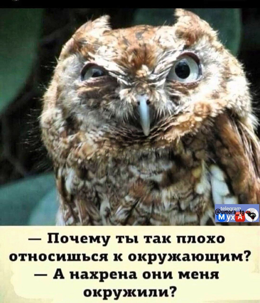 — Почему ты так плохо относишься к окружающим?
— А нахрена они меня окружили?