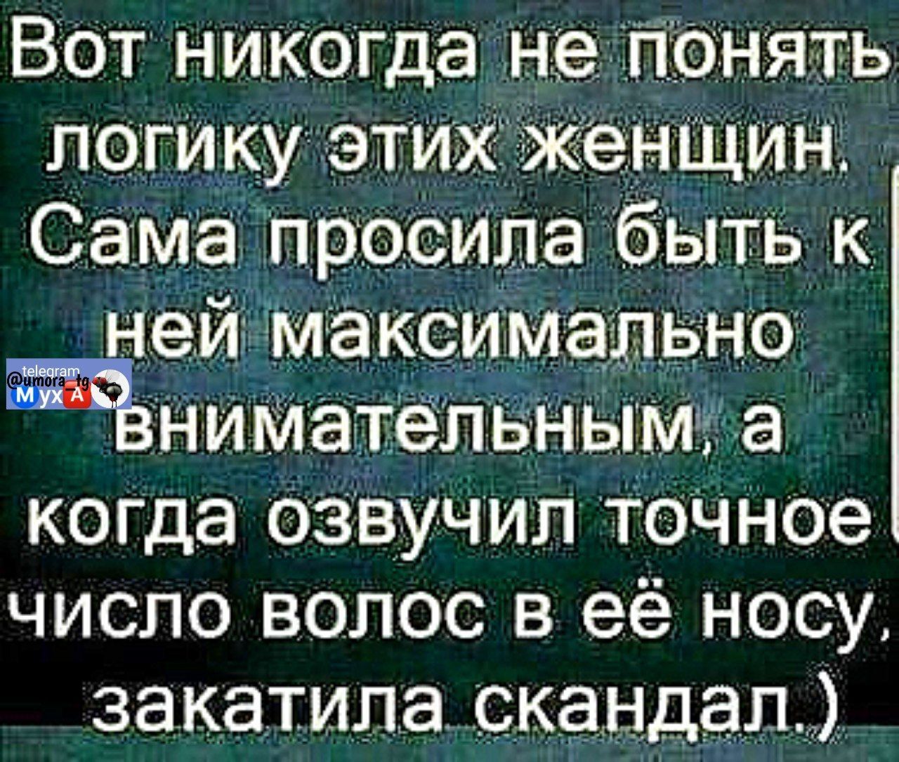 Вот никогда не понять логику этих женщин. Сама просила быть к ней максимально внимательным, а когда озвучил точное число волос в её носу, закатила скандал.)