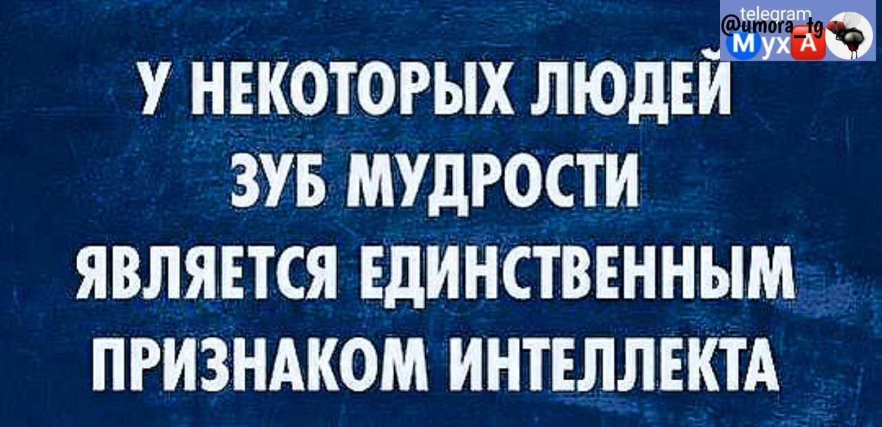 У некоторых людей зуб мудрости является единственным признаком интеллекта