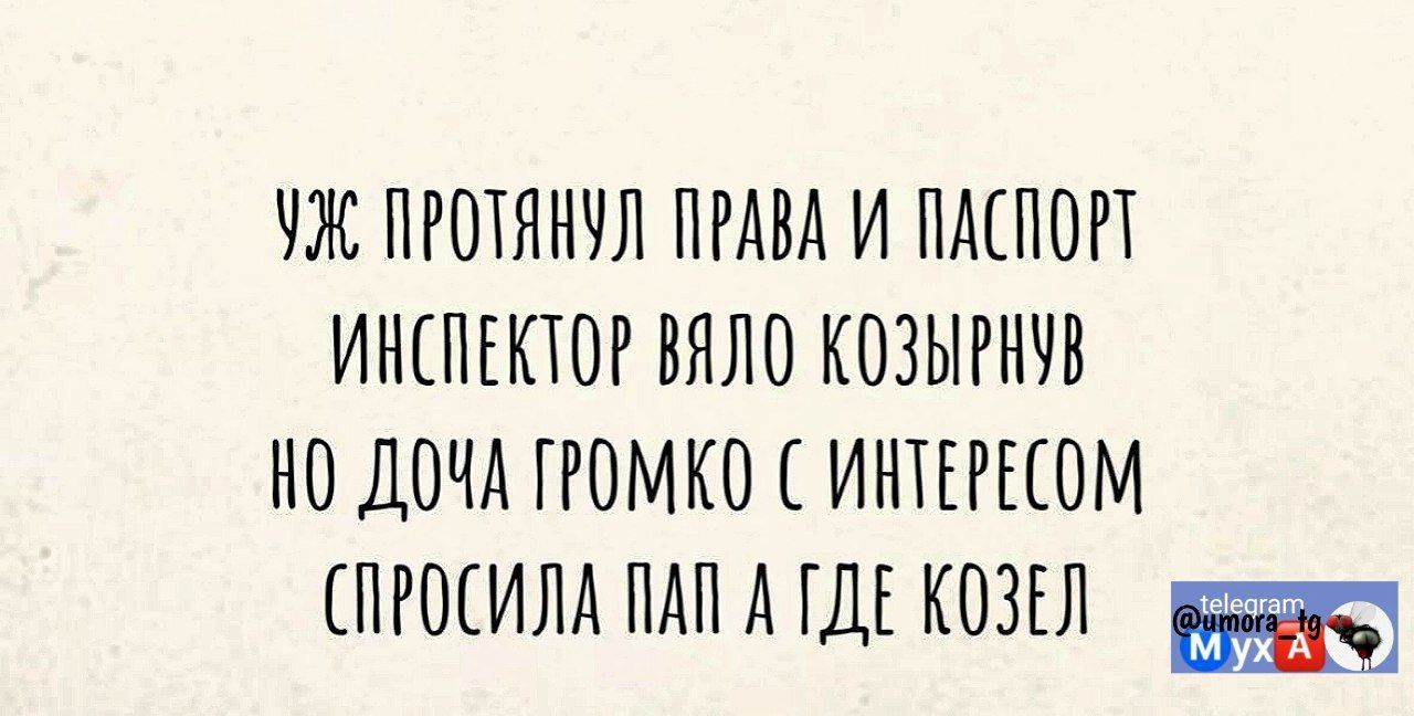 УЖ ПРОТЯНУЛ ПРАВА И ПАСПОРТ ИНСПЕКТОР ВЯЛО КОЗЫРНУВ НО ДОЧА ГРОМКО С ИНТЕРЕСОМ СПРОСИЛА ПАП А ГДЕ КОЗЕЛ