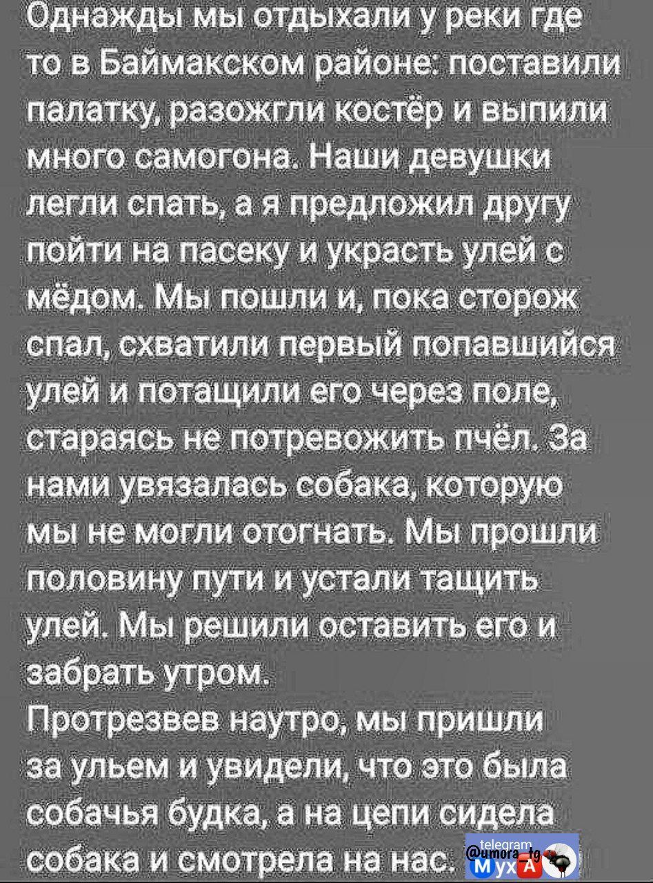 Однажды мы отдыхали у реки где то в Баймакском районе: поставили палатку, разожгли костёр и выпили много самогона. Наши девушки легли спать, а я предложил другу пойти на пасеку и украсть улей с мёдом. Мы пошли и, пока сторож спал, схватили первый попавшийся улей и потащили его через поле, стараясь не потревожить пчёл. За нами увязалась собака, которую мы не могли отогнать. Мы прошли половину пути и устали тащить улей. Мы решили оставить его и забрать утром. Протрезвев натурой, мы пришли за улей и увидели, что это была собачья будка, а на цепи сидела собака и смотрела на нас.