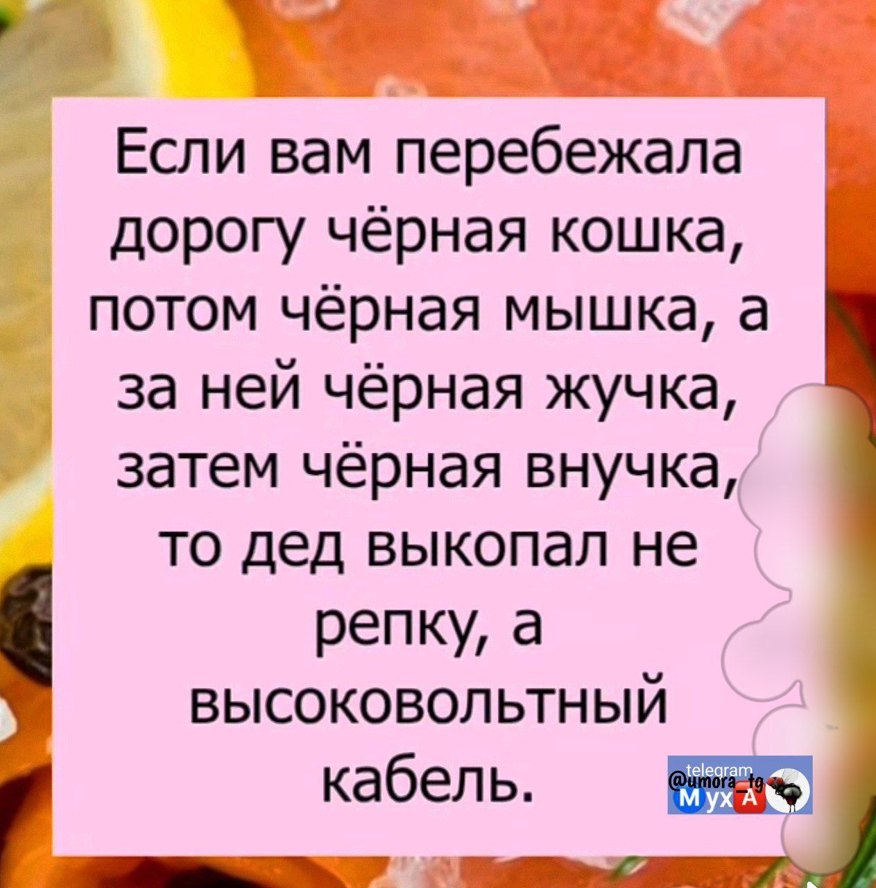 Если вам перебежала дорогу чёрная кошка, а потом чёрная мышка, а за ней чёрная жучка, затем чёрная внучка, то дед выкопал не репку, а высоковольтный кабель.
