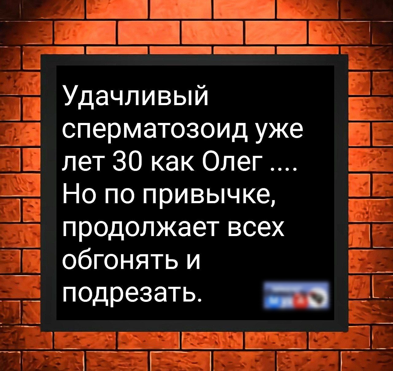 Удачливый сперматозоид уже лет 30 как Олег .... Но по привычке, продолжает всех обгонять и подрезать.