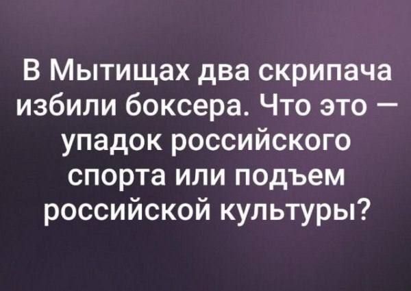 В Мытищах два скрипача избили боксёра. Что это — упадок российского спорта или подъём российской культуры?