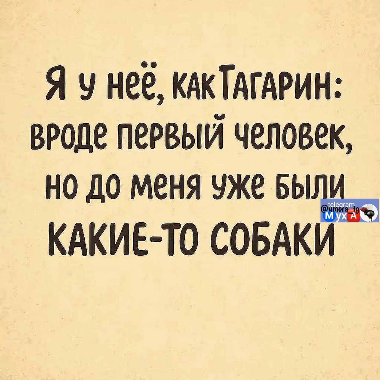 Я у неё, как Тагарин: вроде первый человек, но до меня уже были какие-то собаки