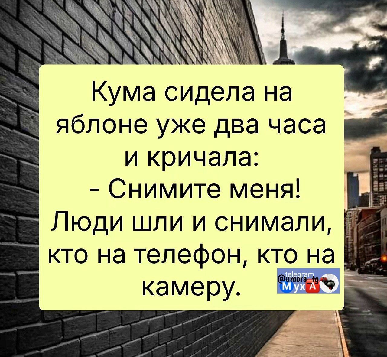 Кума сидела на яблоне уже два часа и кричала: - Снимите меня! Люди шли и снимали, кто на телефон, кто на камеру.